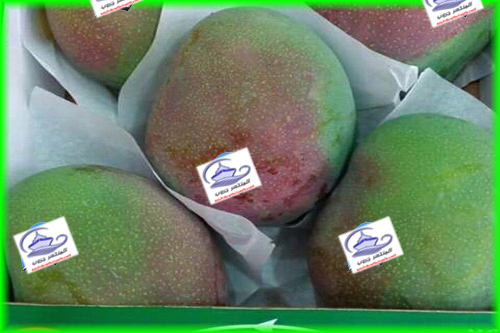 blog img