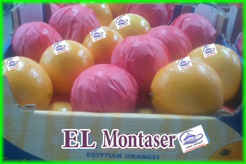 blog img